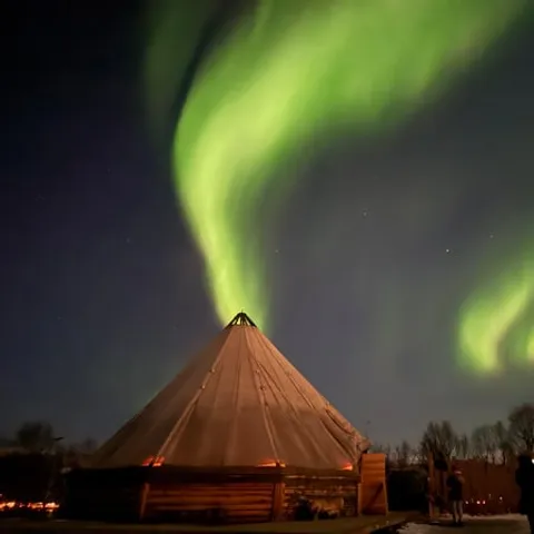 Aurora over a lavvu tent at the reindeer camp
