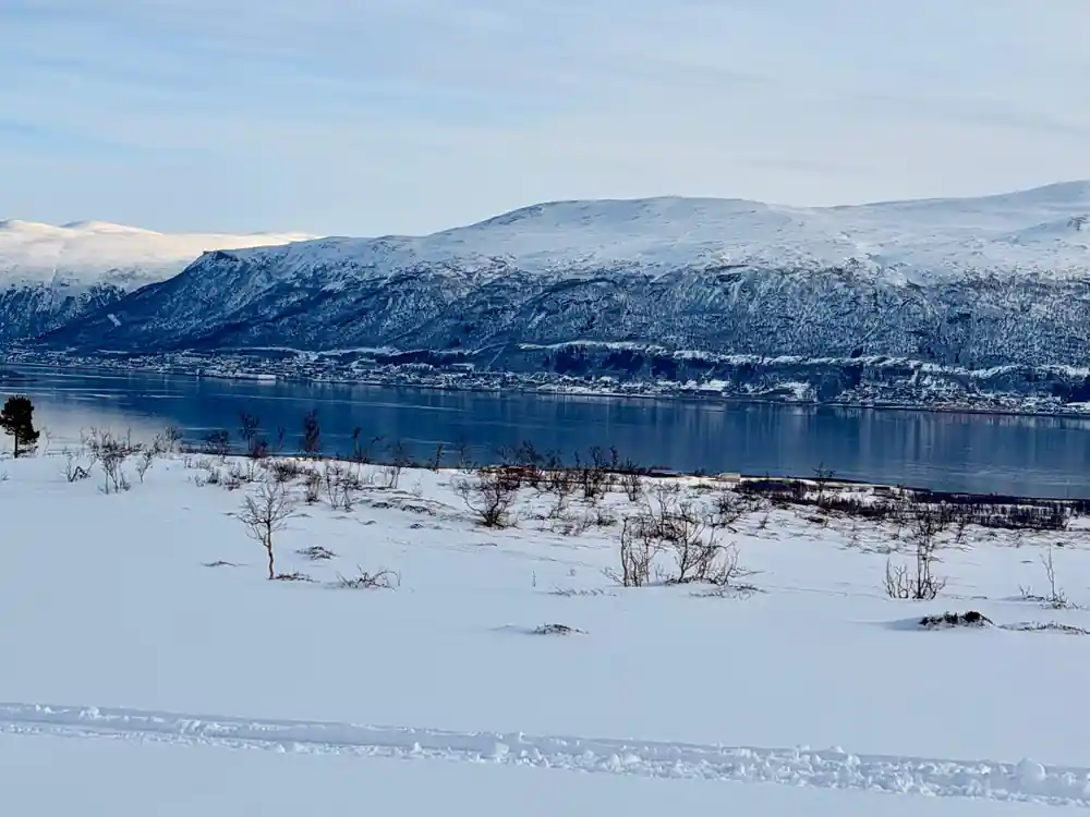 The frozen fjord and its far white shore from the trail