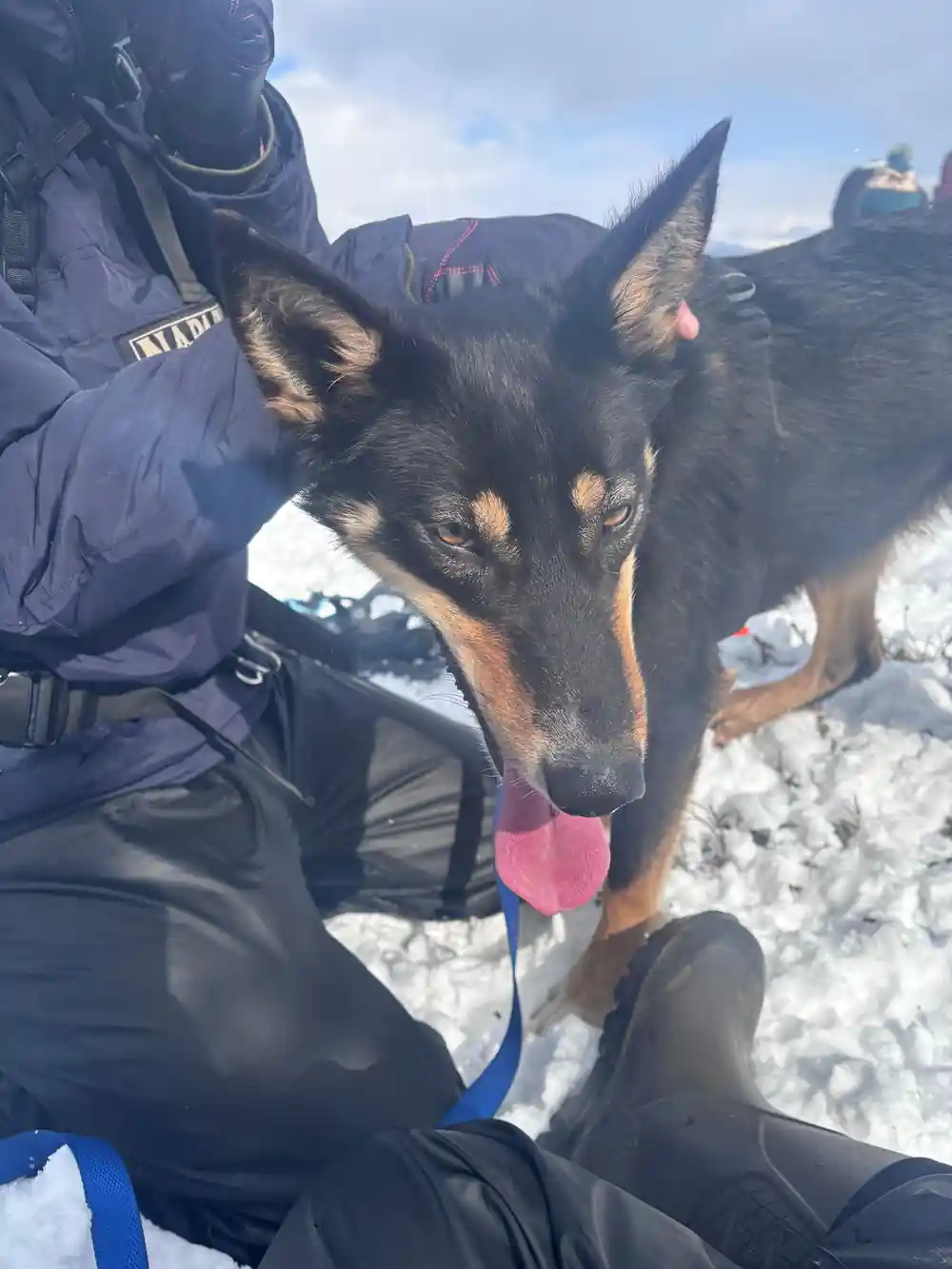 A handler crouched with a sled dog leaning against them