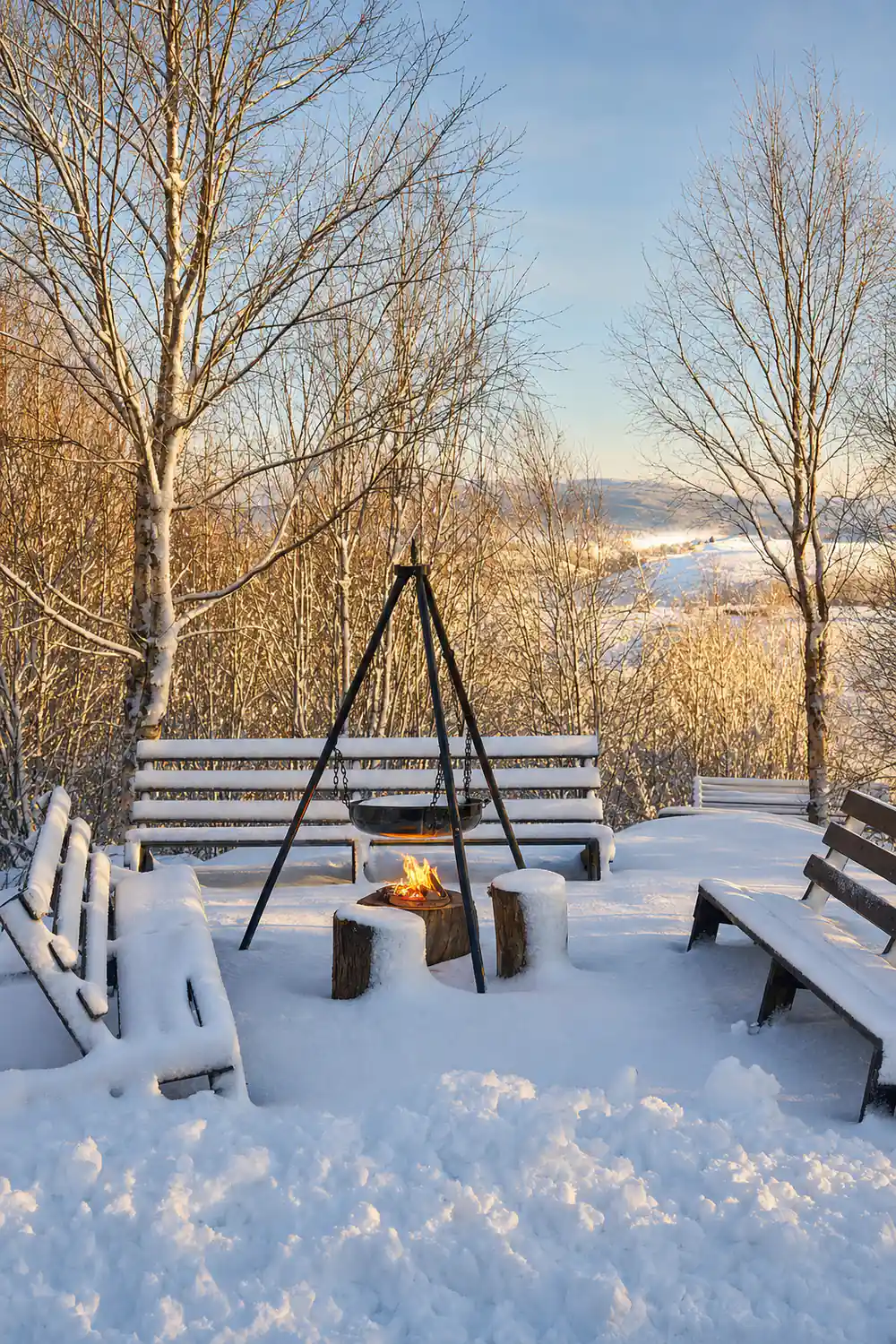 A snow-covered bench swing and fire ring under bare birches