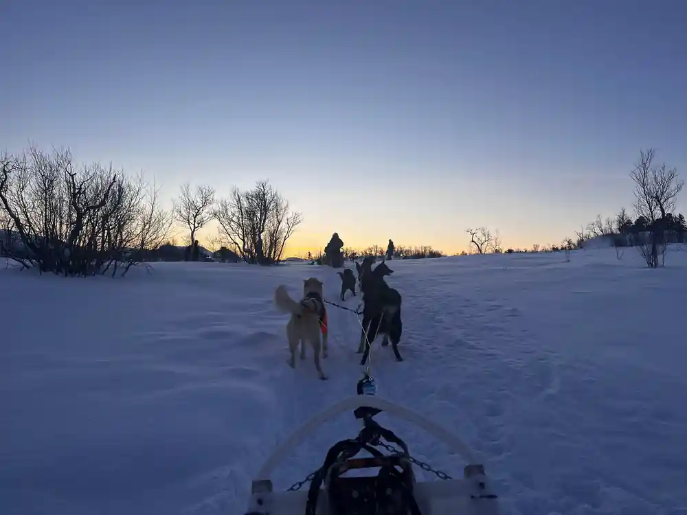 The team ahead on the trail under a long orange dusk sky