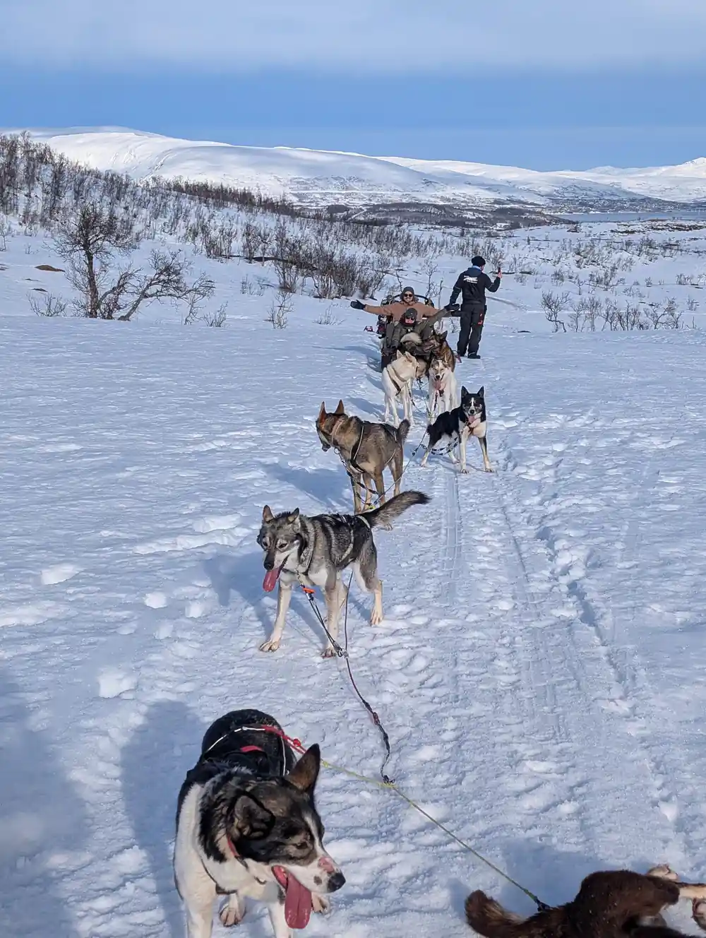 A team running along a shallow trail with a driver behind