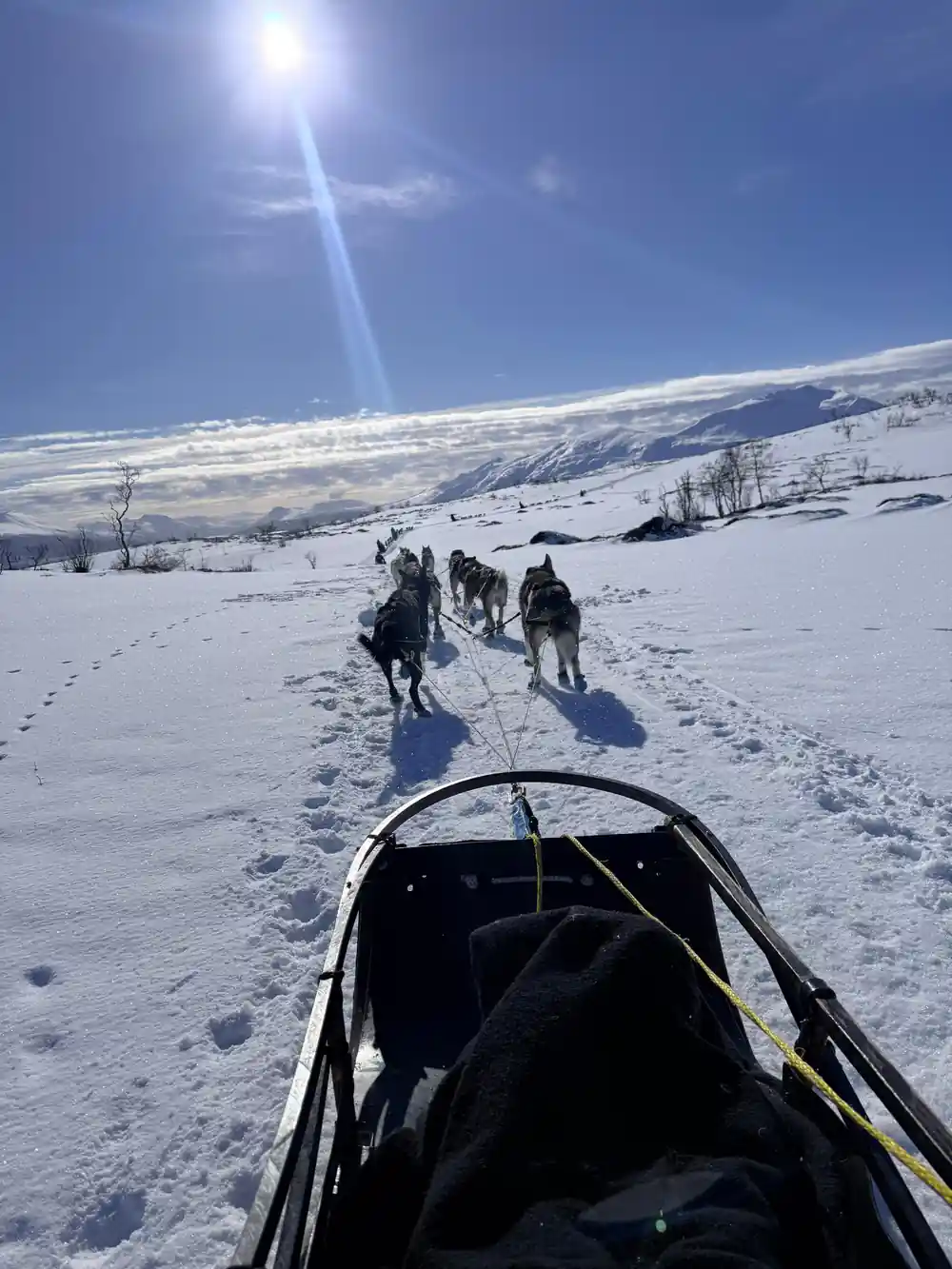 The trail climbing away over the sled bow, team stretched out ahead