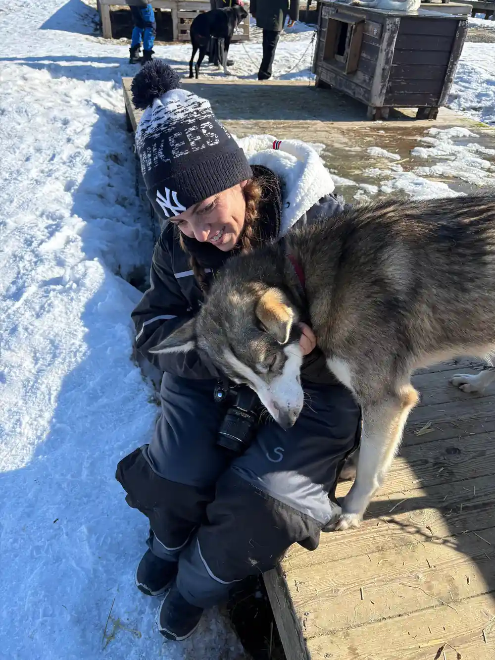 A visitor kneeling on the platform hugging a sled dog