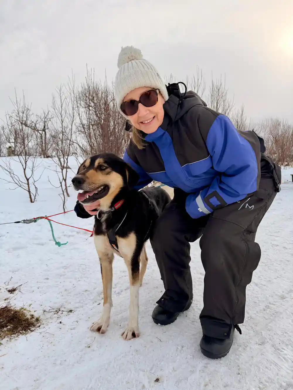 A visitor in a thermal suit crouching to greet a sled dog