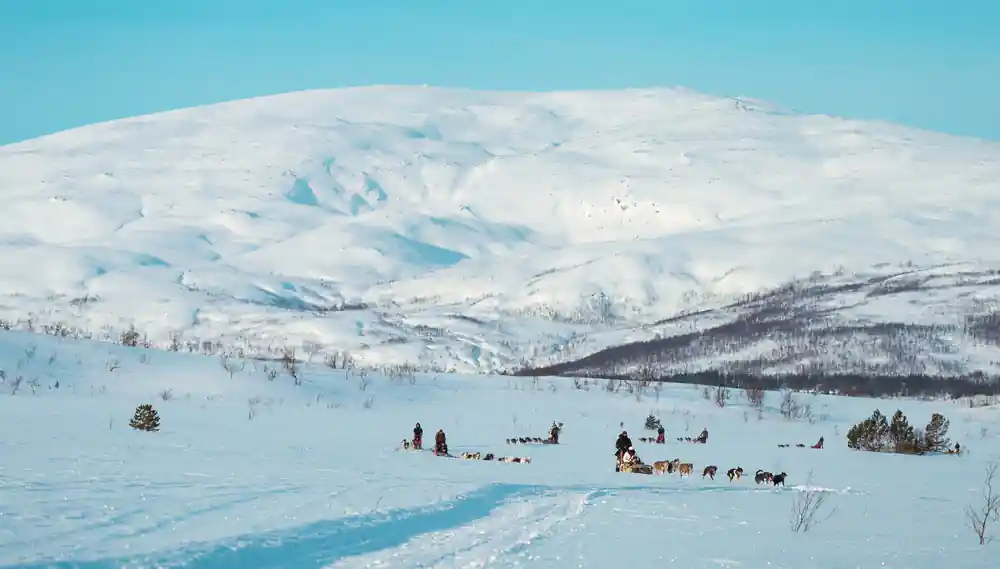 A wide snowy plateau with teams strung out across it